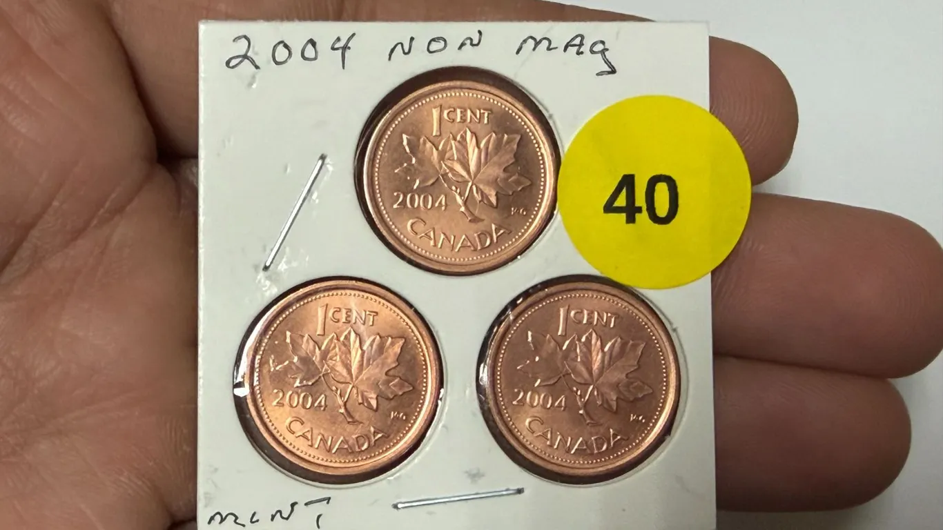 2004 Canadian Small Cent Non Magnetic, Mint