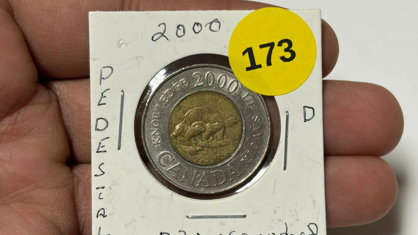 2000 Canadian Toonie, Die Error Pedestal D Under D, Obverse