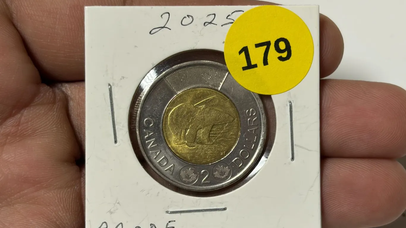 2025 Canadian Toonie, Proof