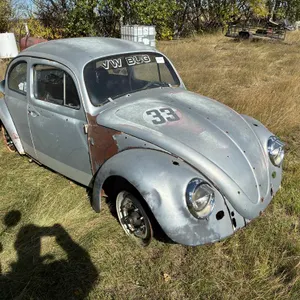 Volkswagen Beetle Car (Non-Runner)