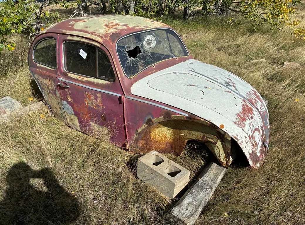 Volkswagen Beetle Car (Non-Runner)