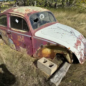 Volkswagen Beetle Car (Non-Runner)
