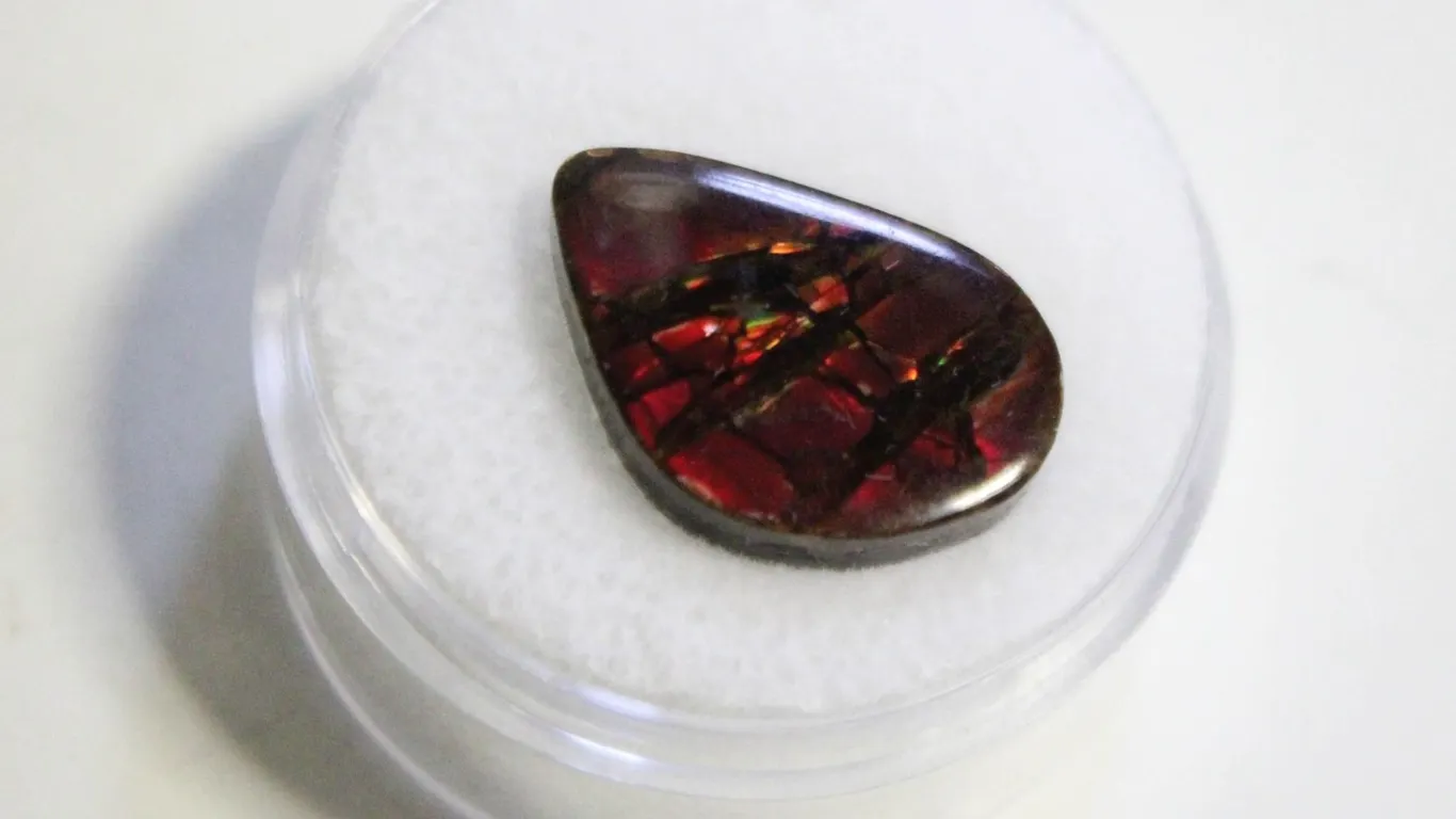 6.9CT FREEFORM AMMOLITE DOUBLET