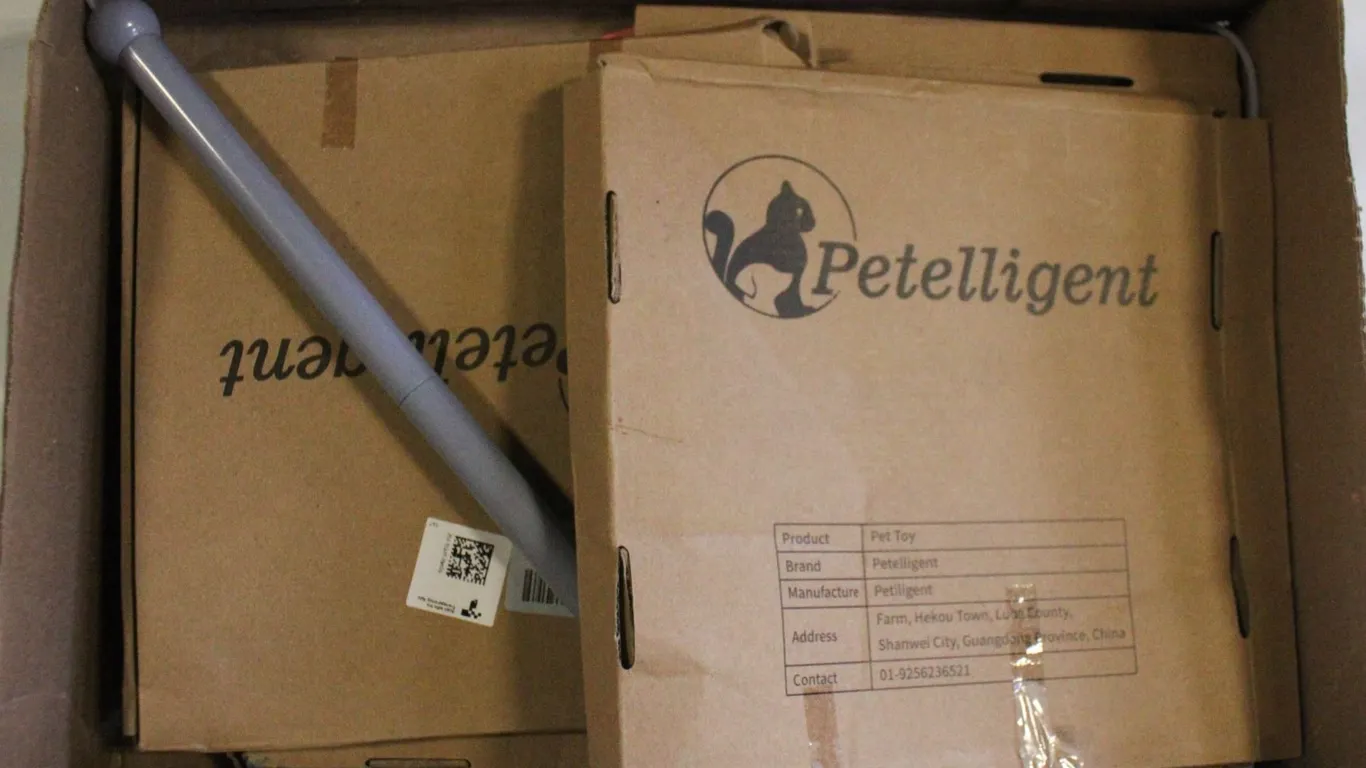 FLAT OF PETELLIGENT PET GAME AND EXCERSISE