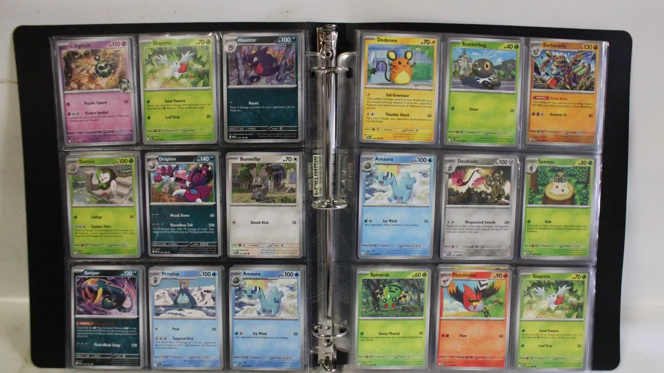 BINDER POKEMON CARDS