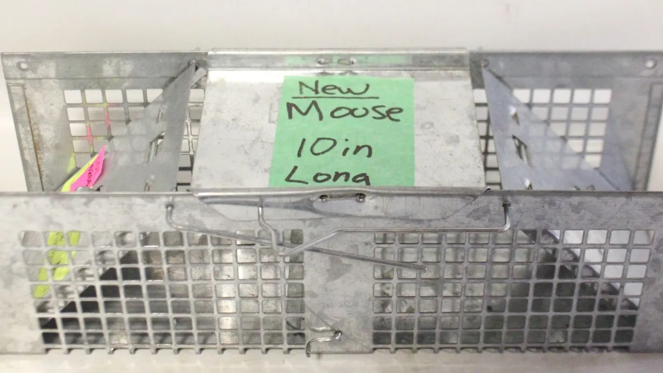 NEW MOUSE TRAP 10" LONG
