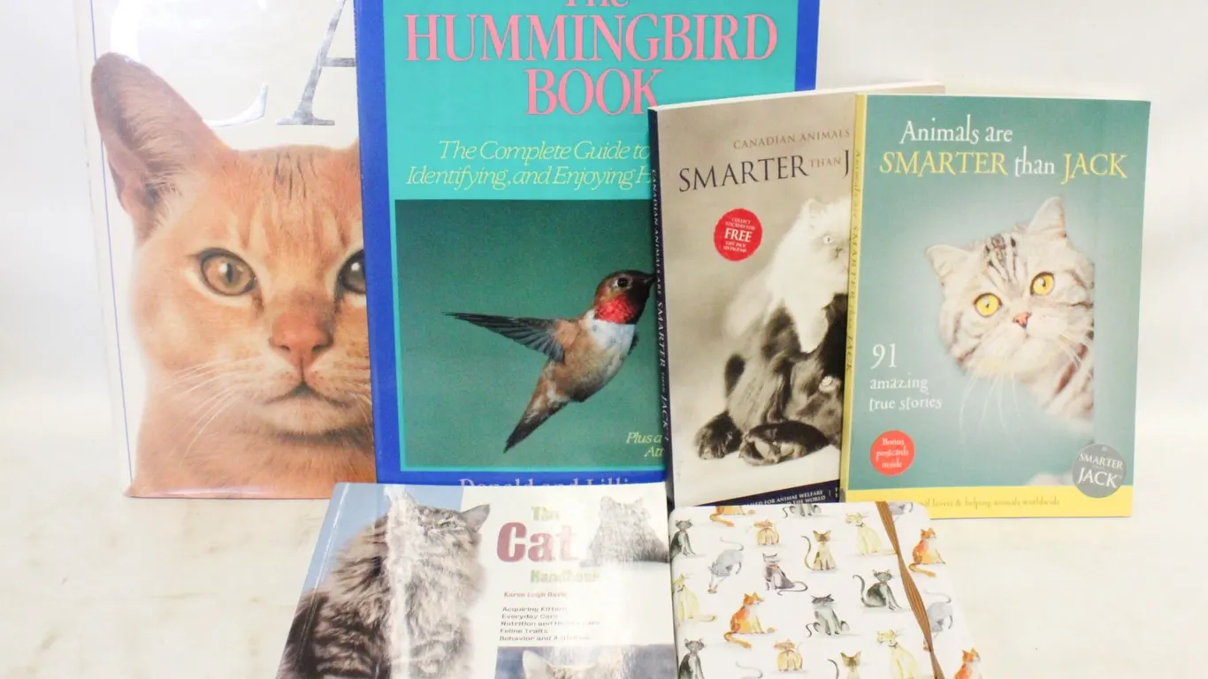 6 CAT BOOKS INCLUDES NEW CAT JOURNAL