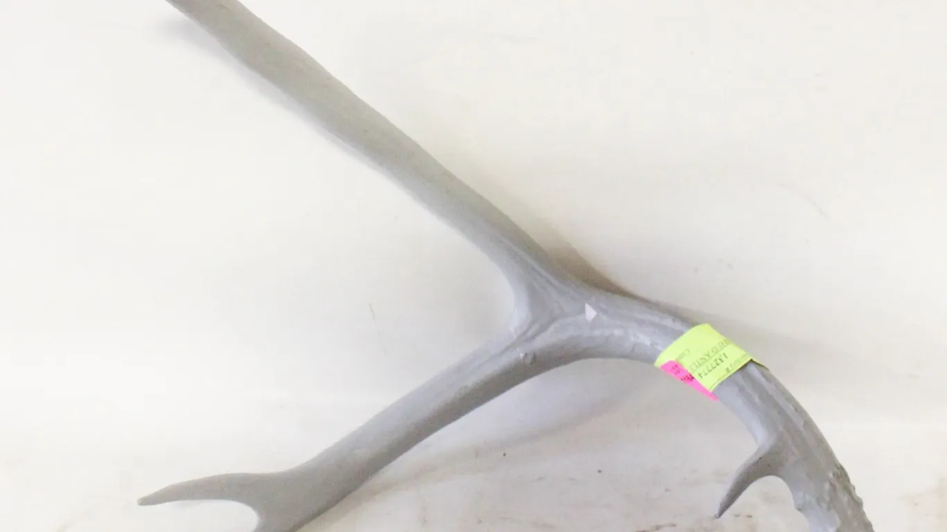 NATURAL SHED ANTLER PAINTED GREY