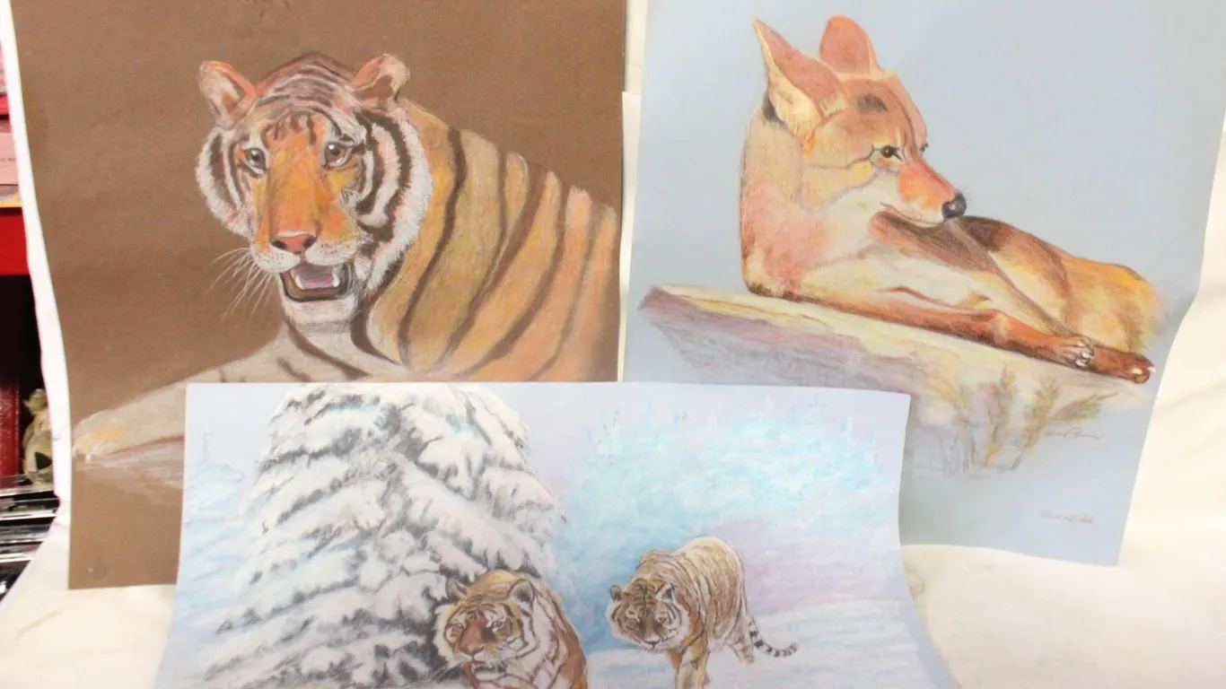 3 WILDLIFE ORIGINAL SKETCHES -ONE SLIGHTLY