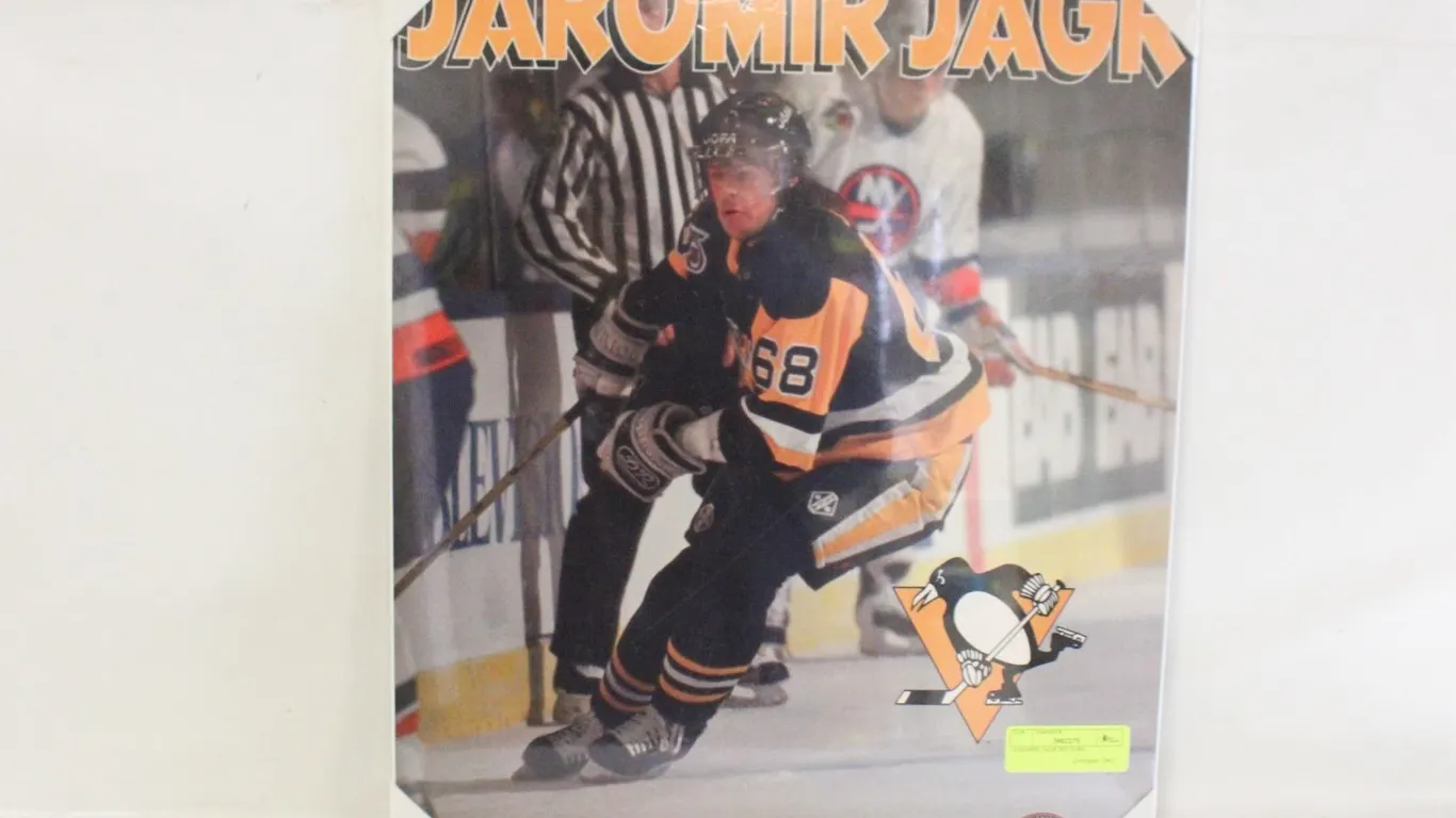 JAROMIR JAGR PICTURE