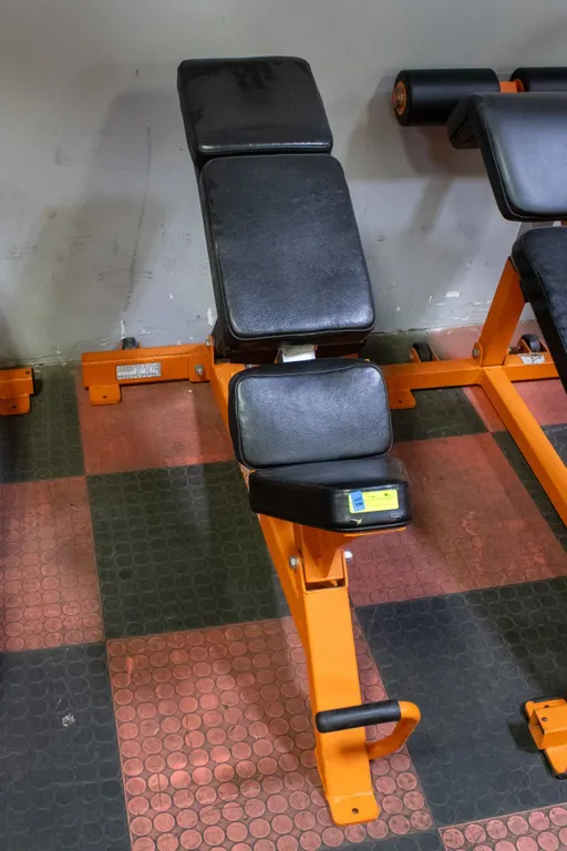 BAILIFF SEIZED: VARSENAL STRENGTH ALPHA SERIES