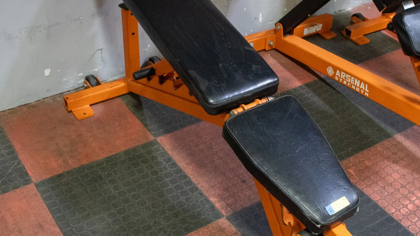 BAILIFF SEIZED: ARSENAL STRENGTH ALPHA SERIES