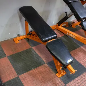 BAILIFF SEIZED: ARSENAL STRENGTH ALPHA SERIES