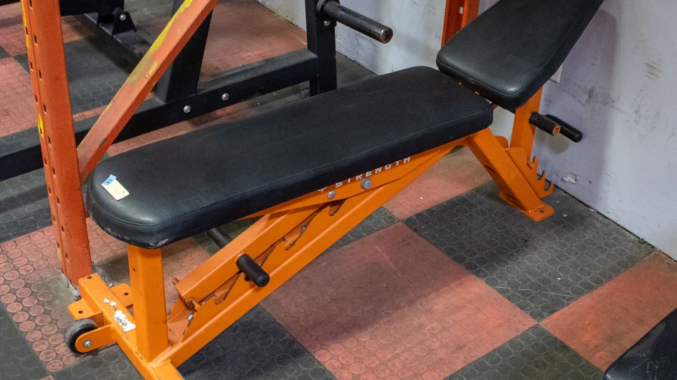 BAILIFF SEIZED: IRON NATION STOIC LATERAL BENCH