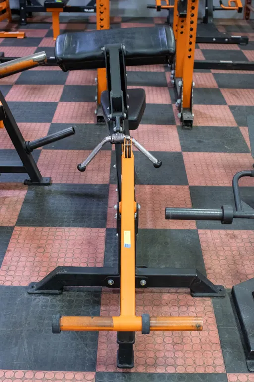 BAILIFF SEIZED: ARSENAL STRENGTH PLATE LOADED