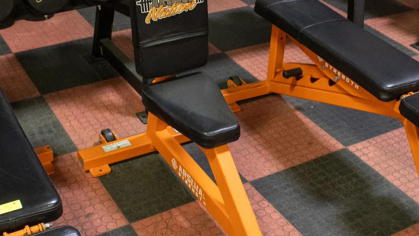 BAILIFF SEIZED: IRON NATION 90° DUMBBELL BENCH