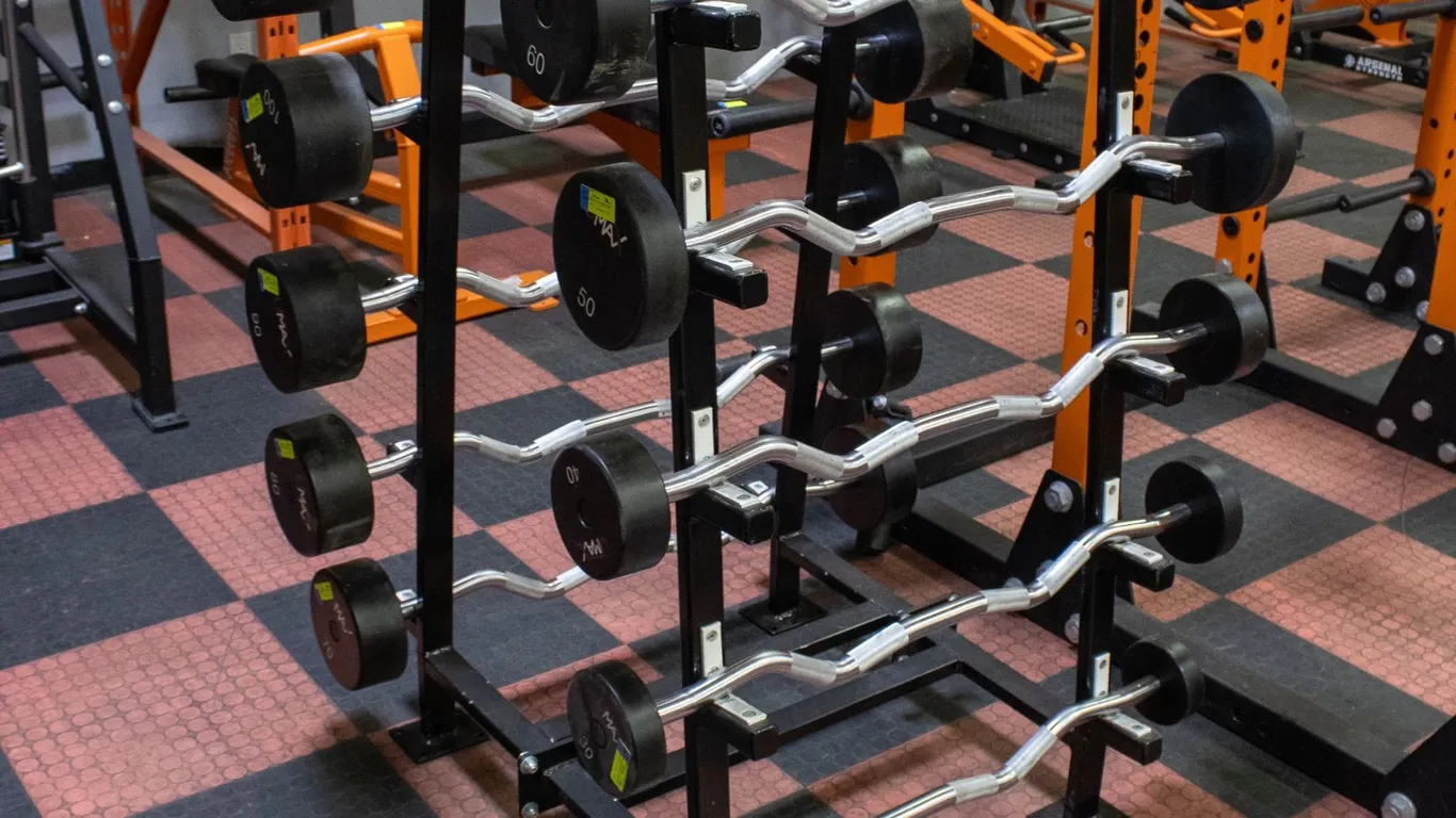 BAILIFF SEIZED: PREACHER CURL BAR RACK