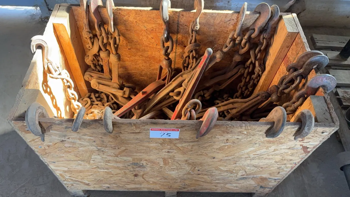 Rigging Chains & Load Binders Lot
