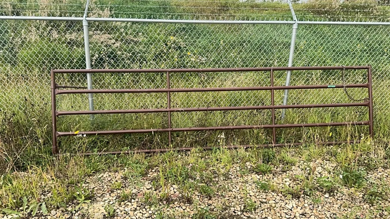 HD 16' Gate (P10-NF-W-S275)
