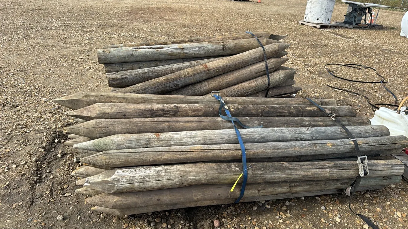 2 Bundles of Posts, Approximately 80 (P10-R6-E-S228)