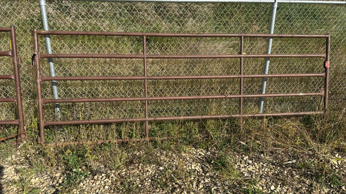 14' Gate (P10-NF-6-S228)