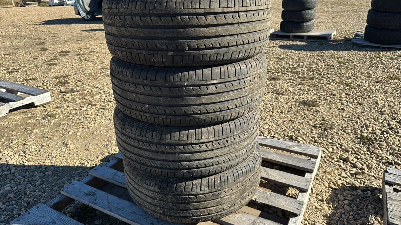 4 Tires 205/55 R16 (P10-R10-W-S663)