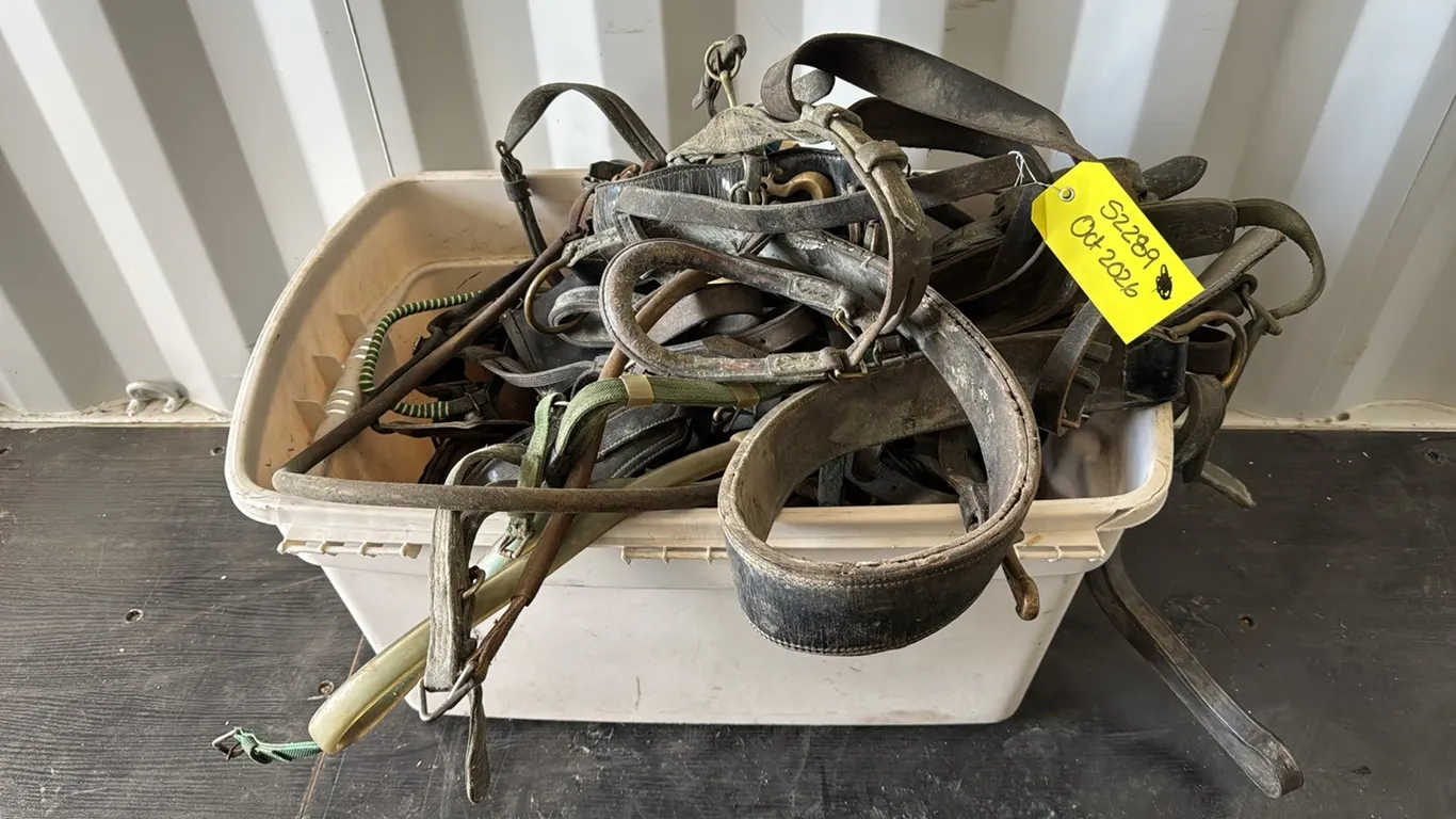 Horse Harness & Tack (P10-SCE-S2289)