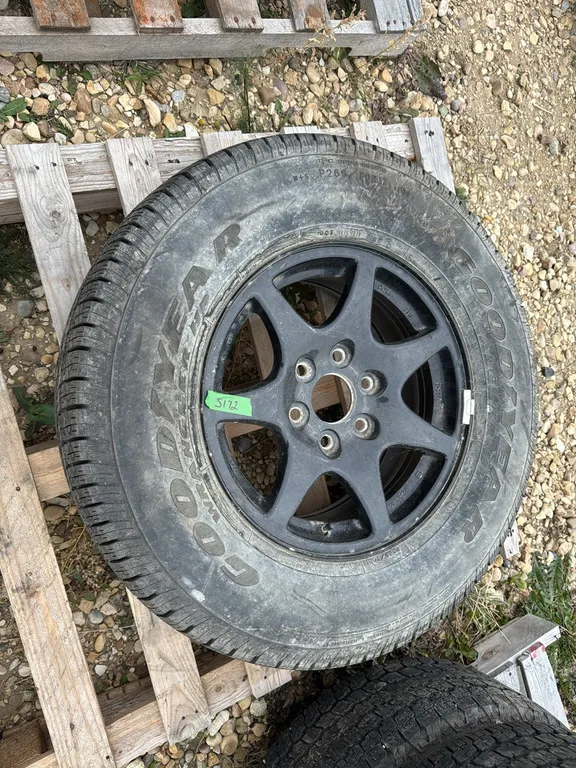 Tire on a Rim 17 (P10-R10-W-S172)