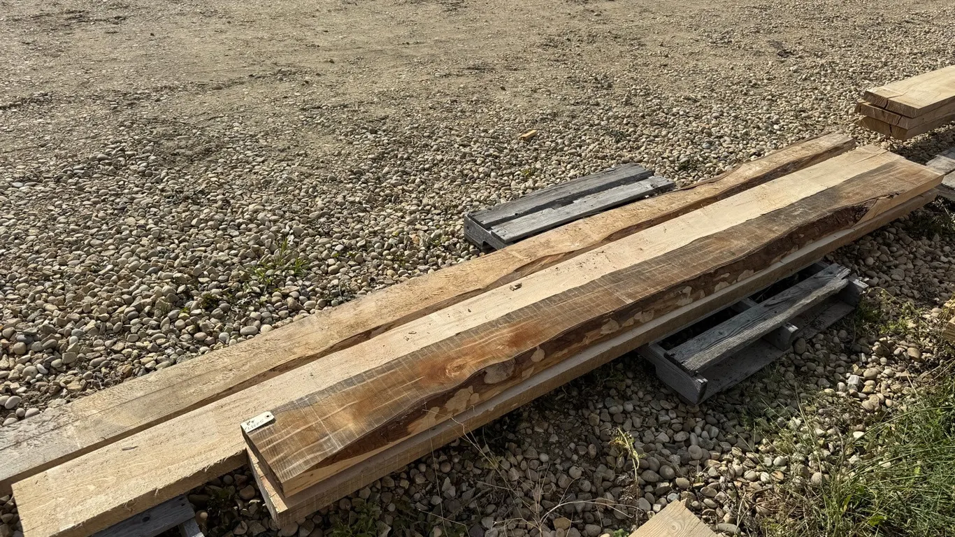 4 Qty Live Edge Spalted Maple 2Qty 2" x 8" x12' & 2 Qty 2" x 7" x 10', Marked 2 (P10-NF-2-S2337)