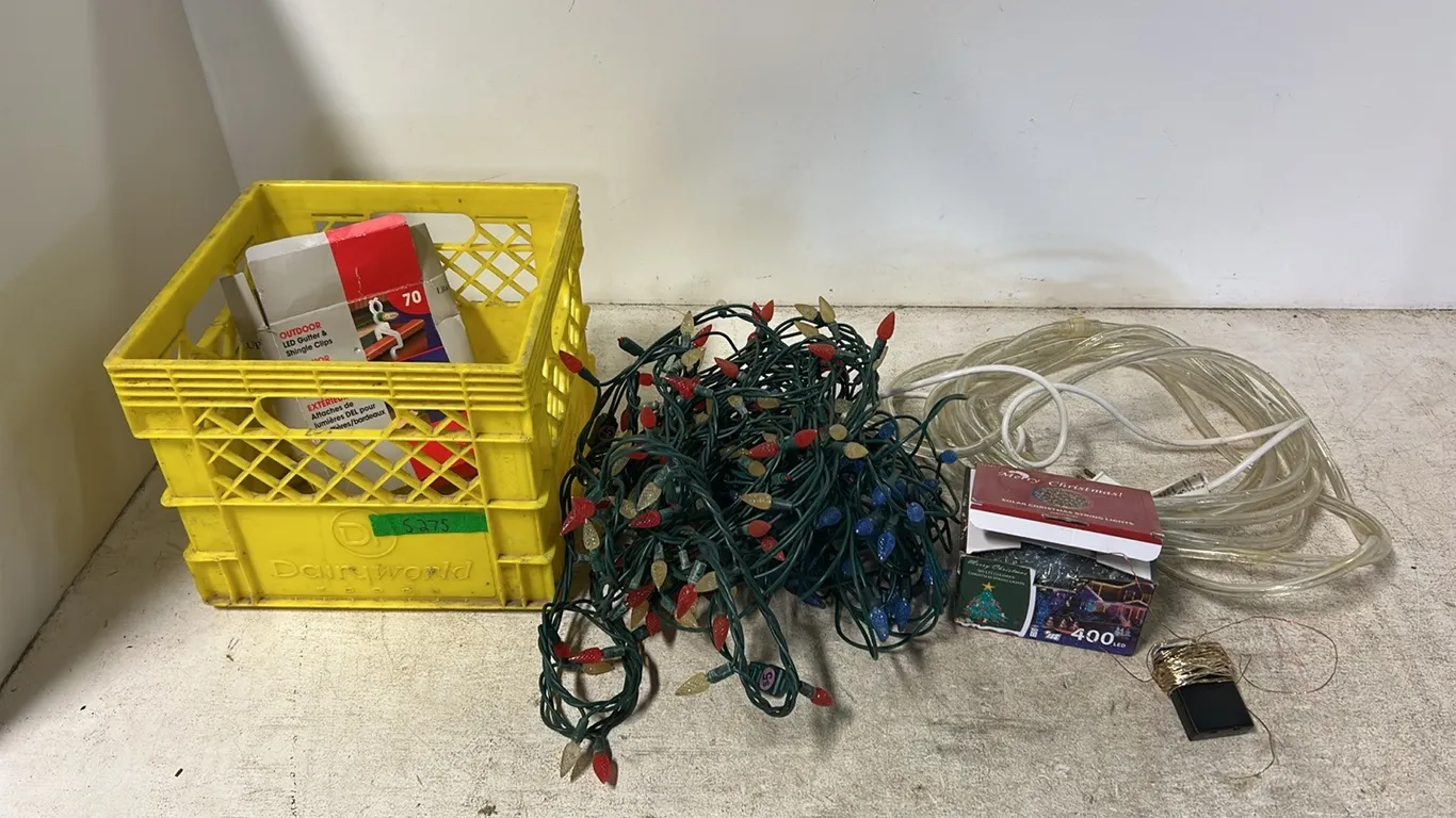 Christmas Lights & Clips (P9-P-S275)