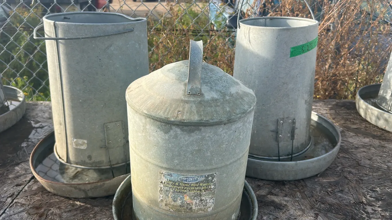 2 Chicken Feeders & Waterer, Marked C (P9-Out-K-S275)