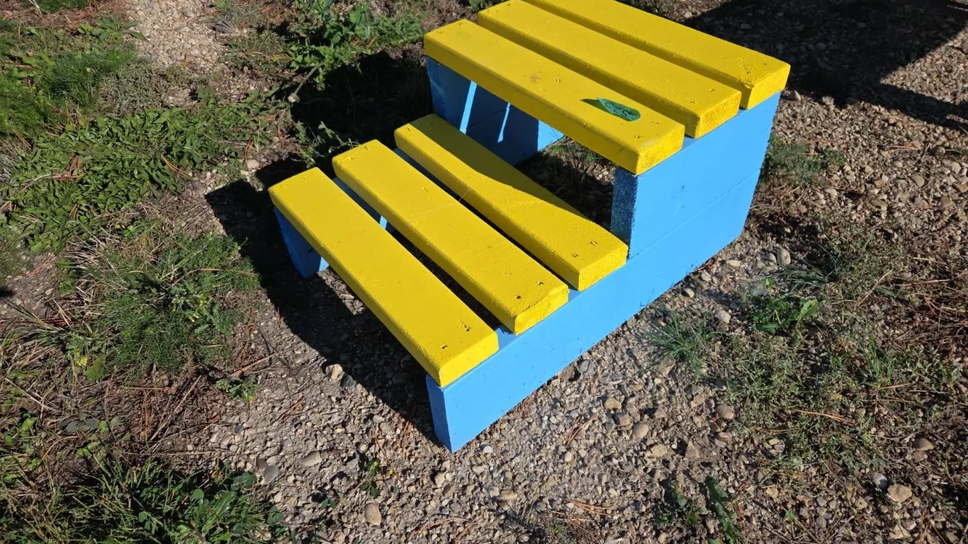 Medium Size Step Stool, Marked O (P9-Out-S25)