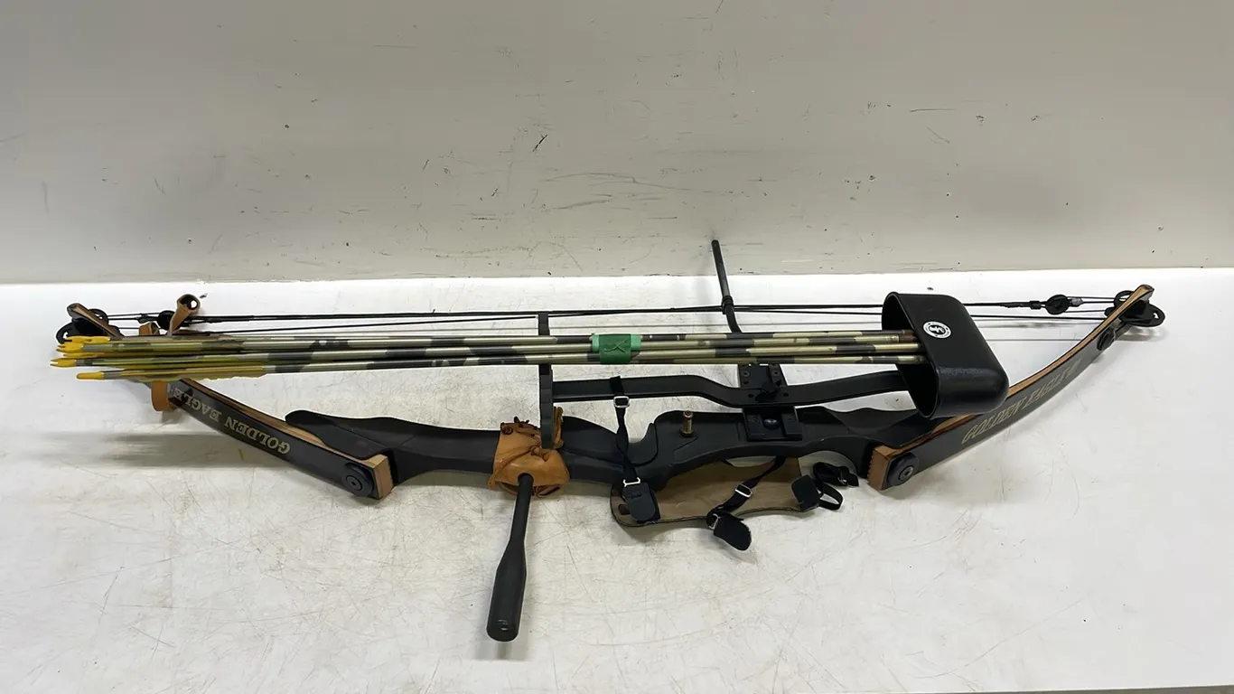 Golden Eagle Compound Bow with Arrows, Arrows Are Worn (P2-EWS1-S2042)