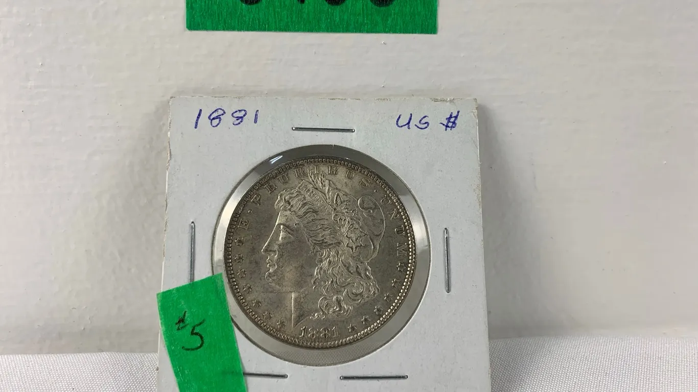 1981 Morgan Silver Dollar, Lot #5 (P6-S483)