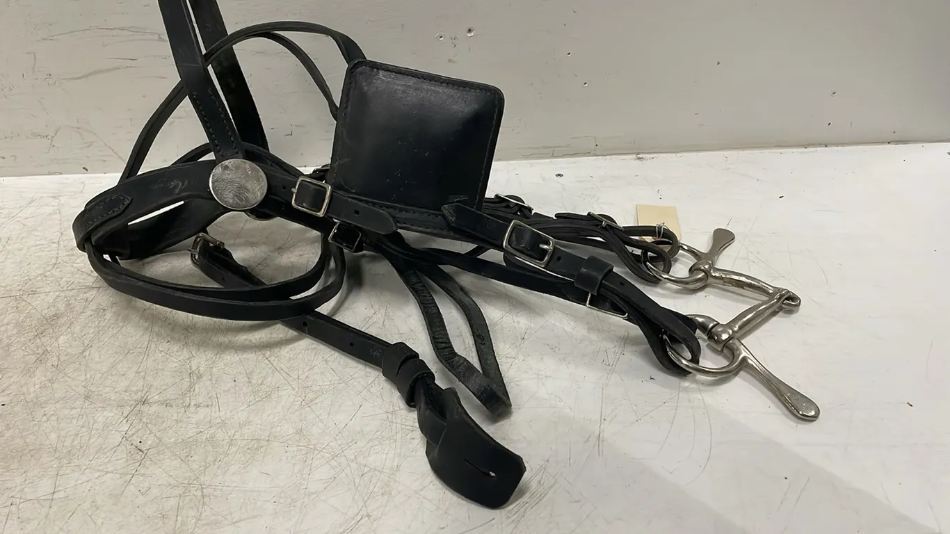 1 Bridle, New As Per Seller, Item #36 (P3-R3T6-S1557)