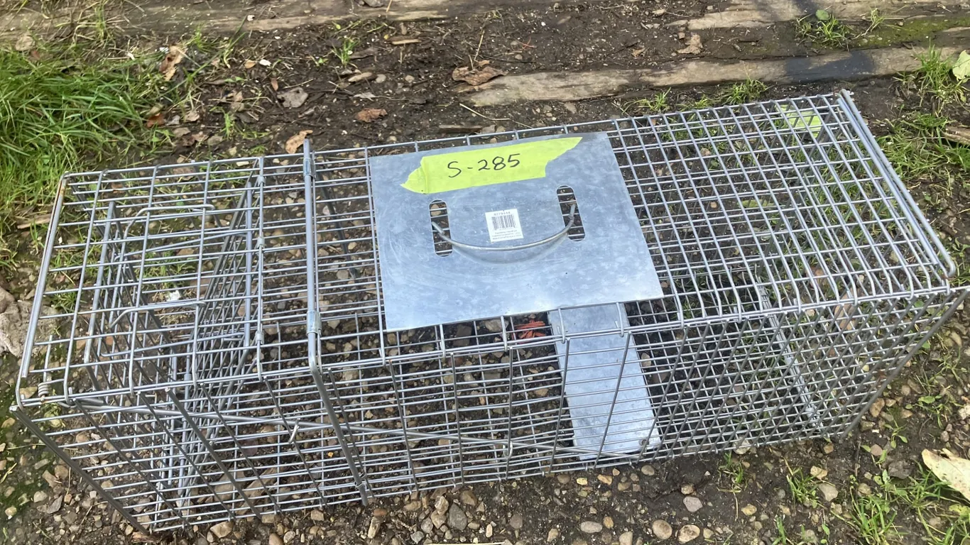 Live Animal Trap, Unused. 10,5” x 13” x 31” (P3-R2T2-S285)