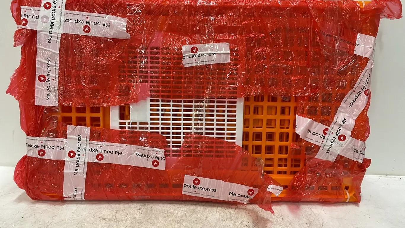 Fold Up Chicken Crate (P3-R2T3-S81)