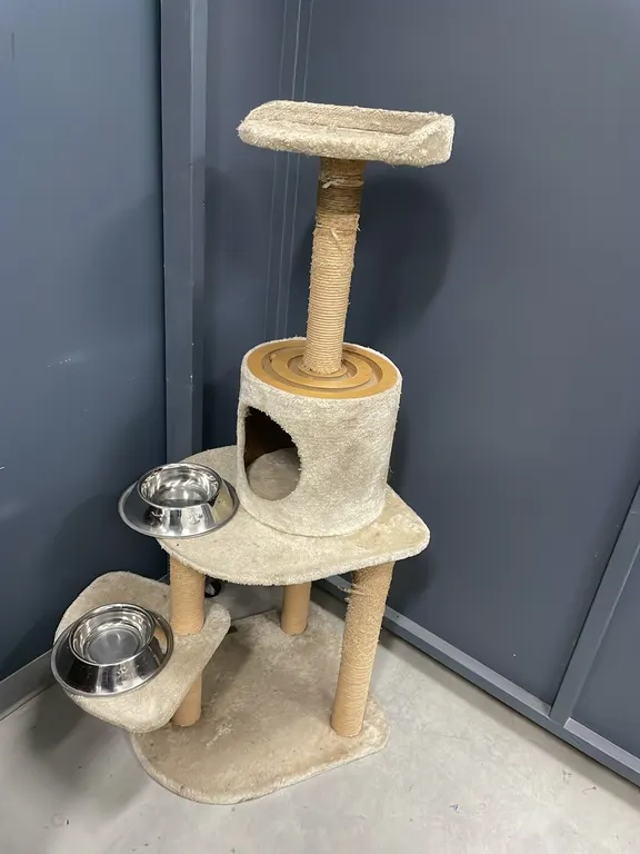 Commercial Made Cat House and 2 Food Dishes (P4-NWFL-S1999)