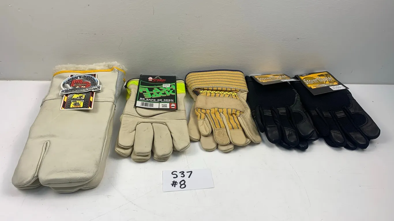 Gloves As Per Pictures, Item #8 (P4-SWS4-S37)