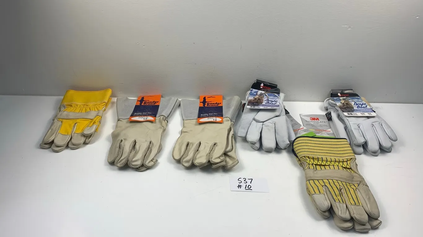 Gloves As Per Pictures, Item #10 (P4-SWS5-S37)