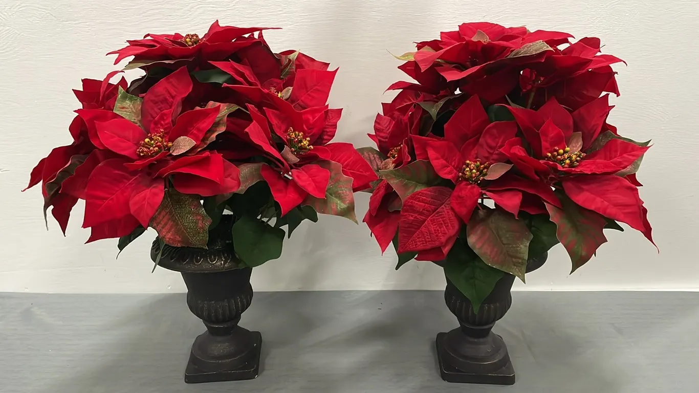 2 Christmas Poinsettias In Pots, Item #13 (P4-CRFL-S1074)