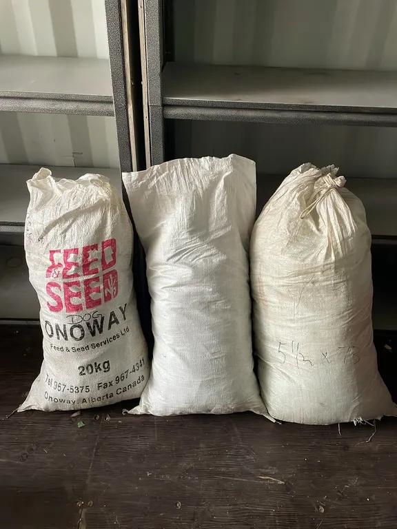 3 Ice Fishing Nets, 2 Are 4" and 1 Is 5 1/2", Seller States They Are In Good Shape (P5-SCC-S2320)