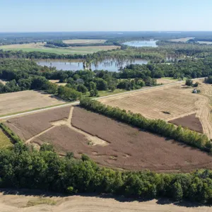 TBD Miller City Road, Olive Branch, IL 62969 & TBD Sleepy Road, Cairo, IL 62914