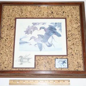 John A. Ruthven Framed 1983 Ohio Wetlands Habitat Stamp Print with Remarque and Stamp