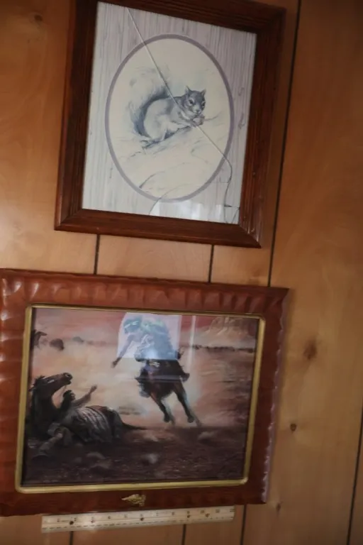 Two Framed Art Prints, Ruane Manning Western Scene and Squirrel Illustration