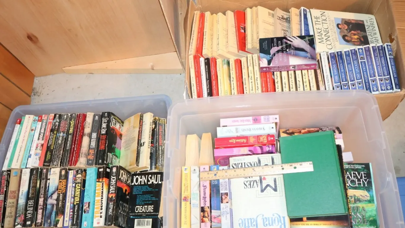Assorted Paperback and Hardcover Books