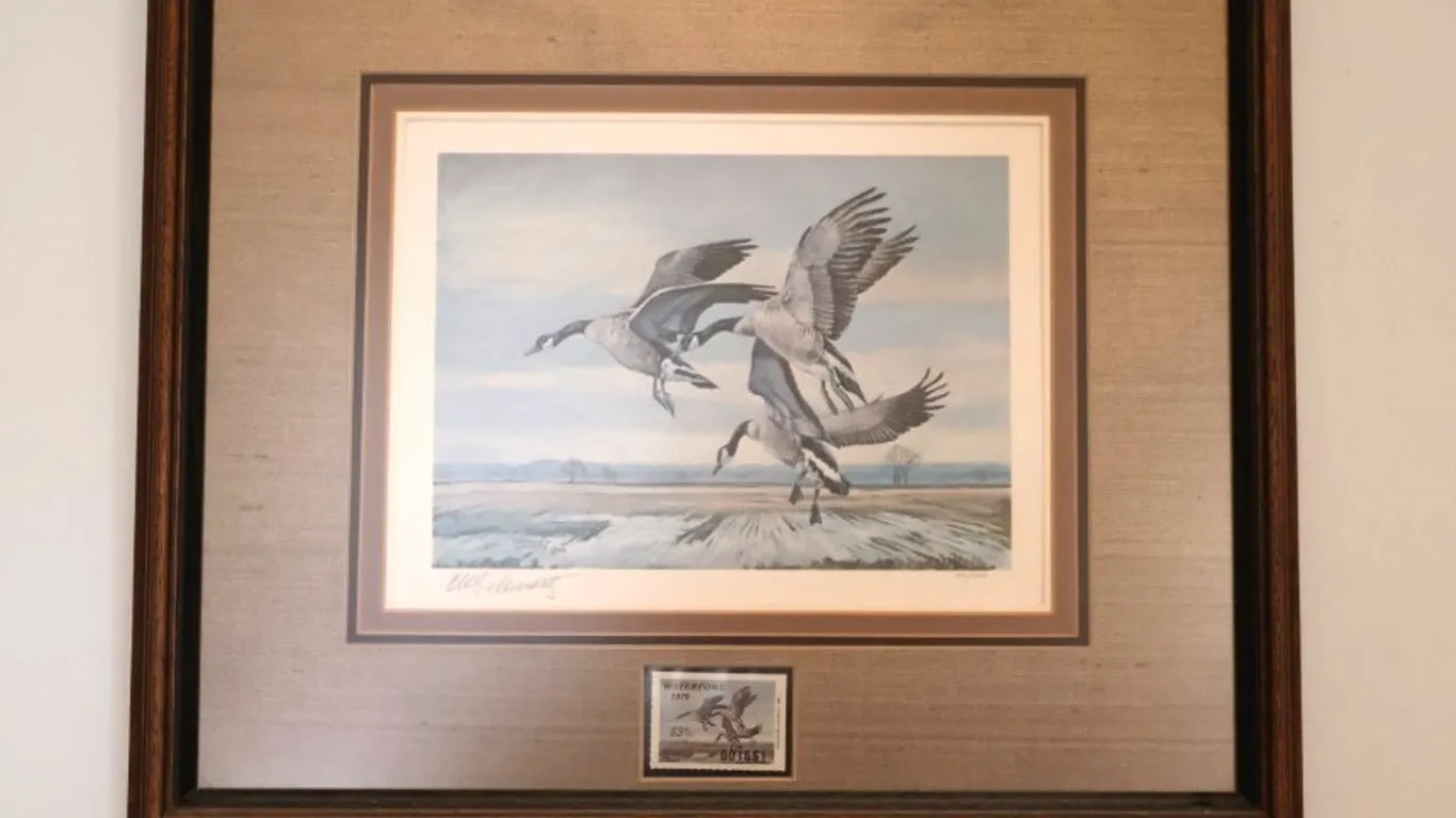 Charles W. Schwartz Framed Canada Geese Art Print with 1979 Missouri Waterfowl Stamp