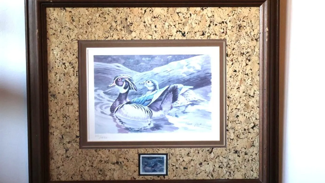 David Plank Signed Wood Ducks Art Print, Numbered 65/250, Framed with 1980 Missouri Waterfowl Stamp
