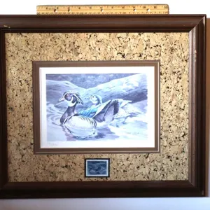 David Plank Signed Wood Ducks Art Print, Numbered 65/250, Framed with 1980 Missouri Waterfowl Stamp
