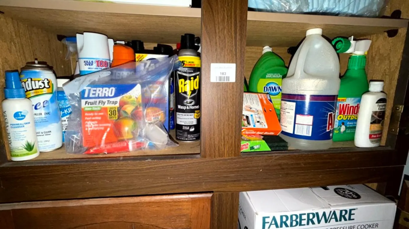 Assorted Household Cleaning Supplies, Pest Control Products